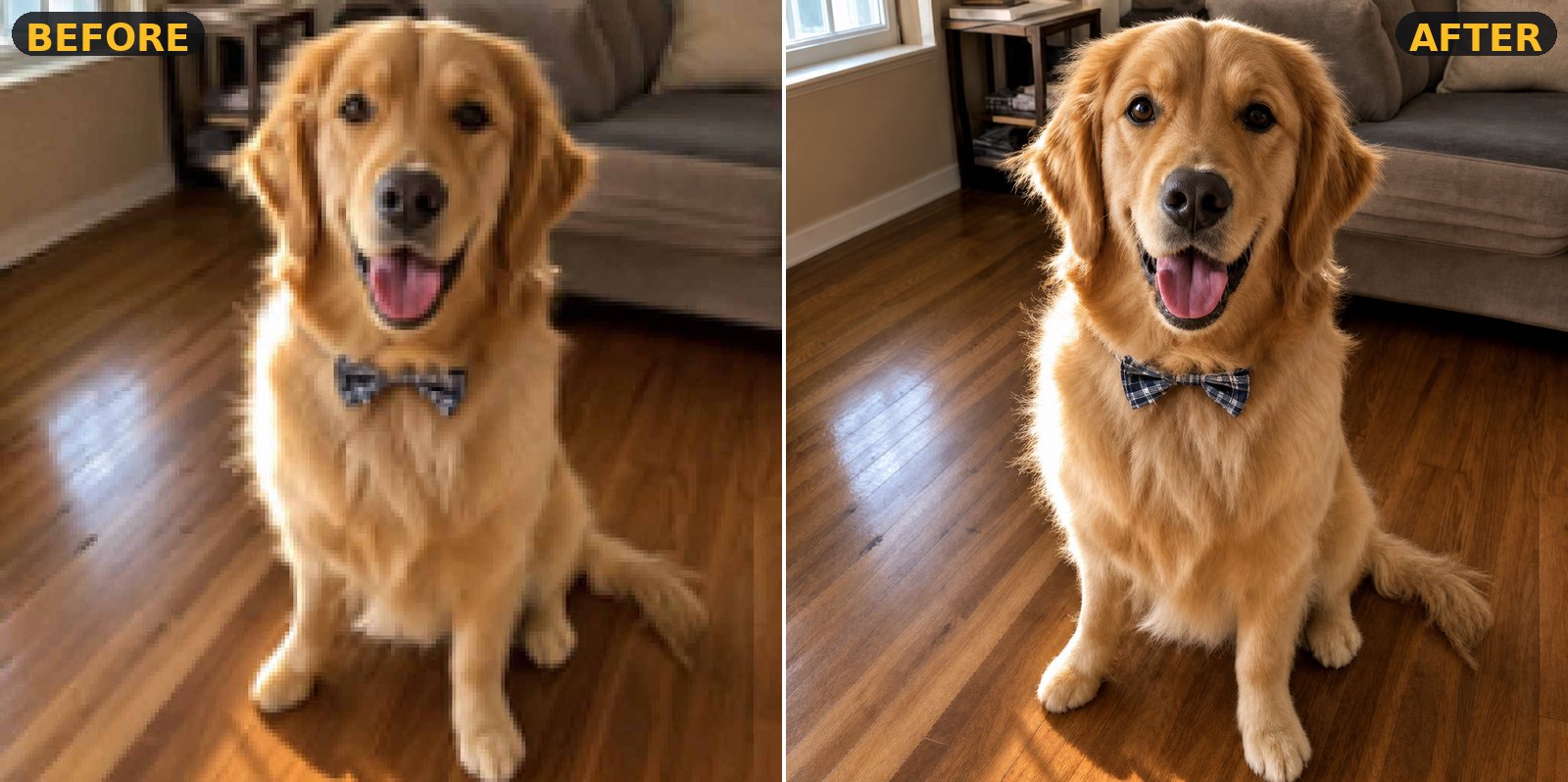 Upscale Basic — golden retriever pet portrait sharpened, before and after
